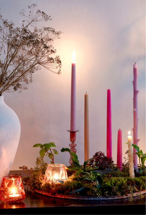 121522_TerrainVdayTrans_Tashima_BrightCandlesCOMP-0926_DP_Select-RT_KBcol-lev 1.png