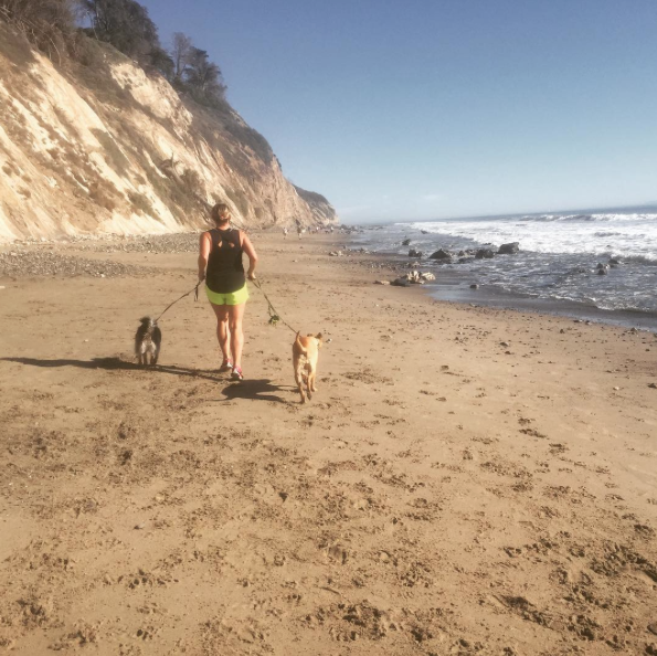 SANTA BARBARA DOG JOG