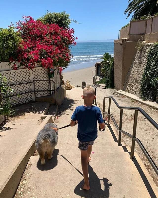 SANTA BARBARA DOG JOG