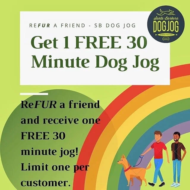 SANTA BARBARA DOG JOG