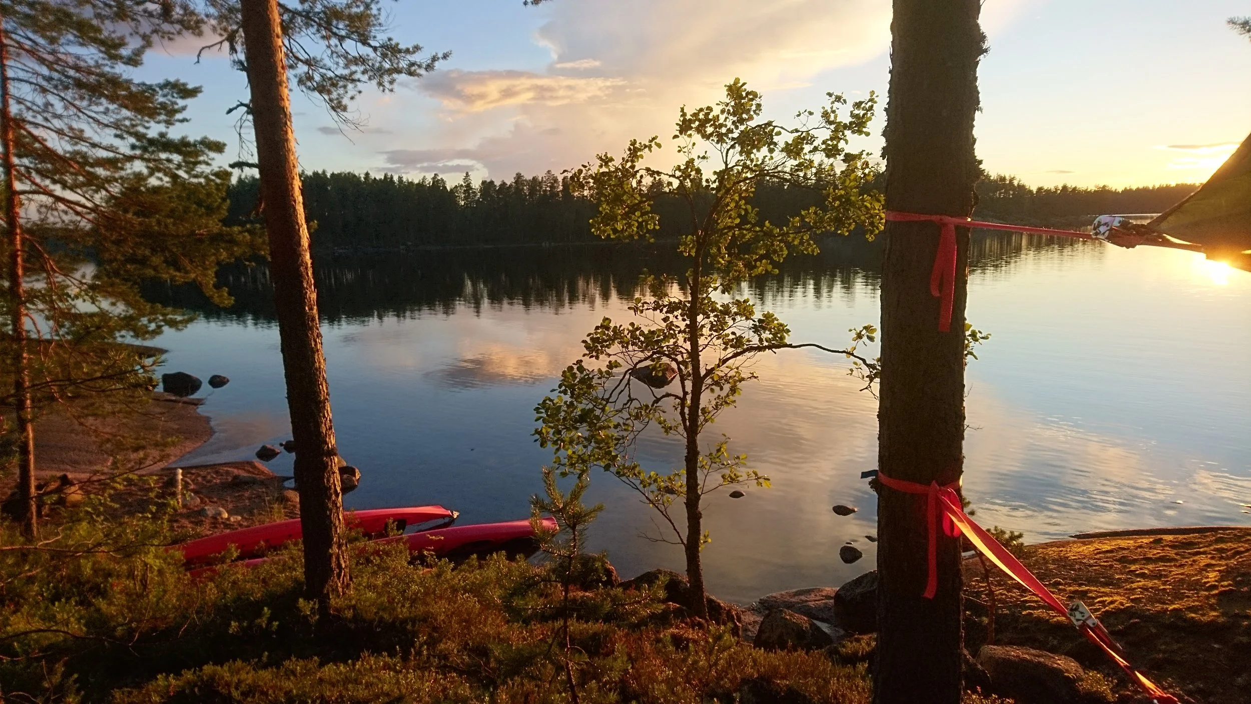 Copy of DSC_2376.JPG