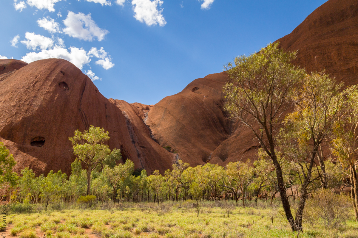 Mainland-Australia-9165.jpg