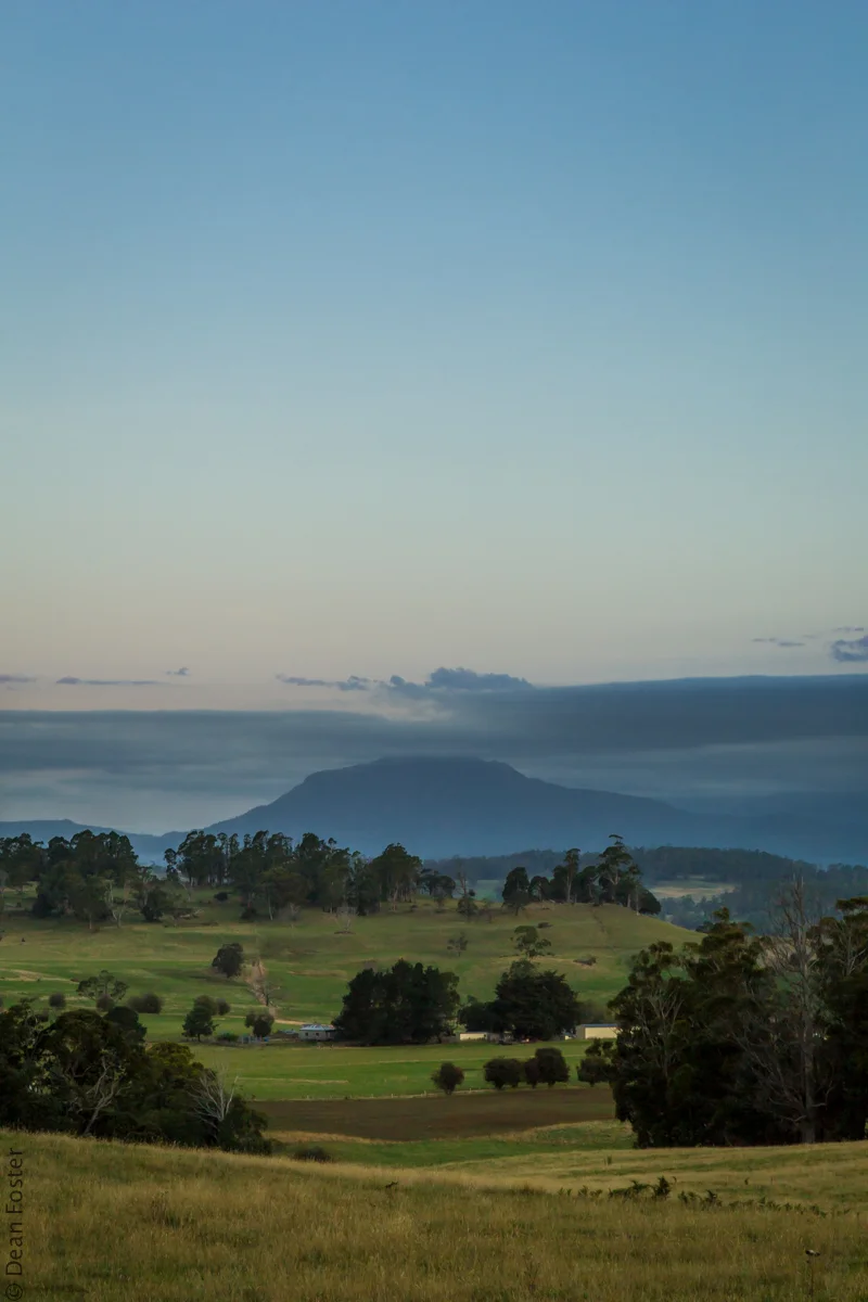 Tassi-Australia-9572.jpg