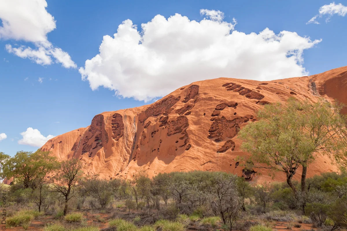 Mainland-Australia-9139.jpg