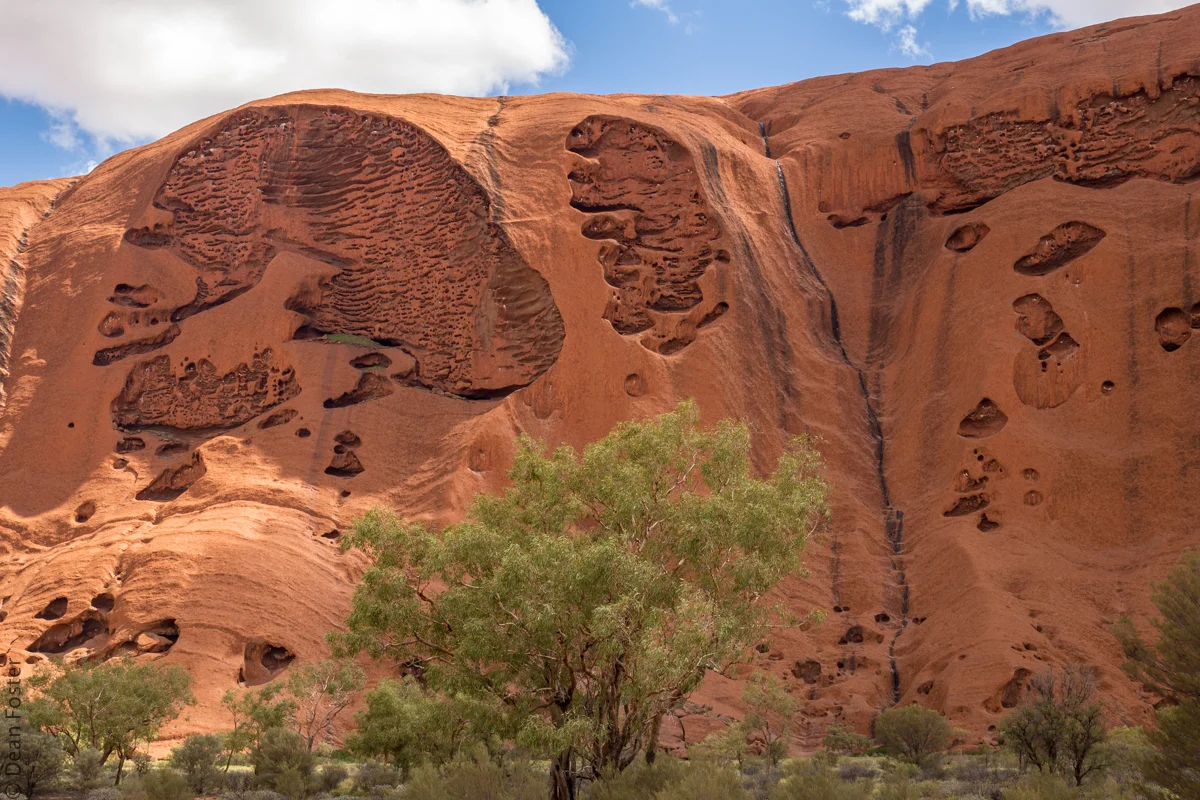 Mainland-Australia-9141.jpg