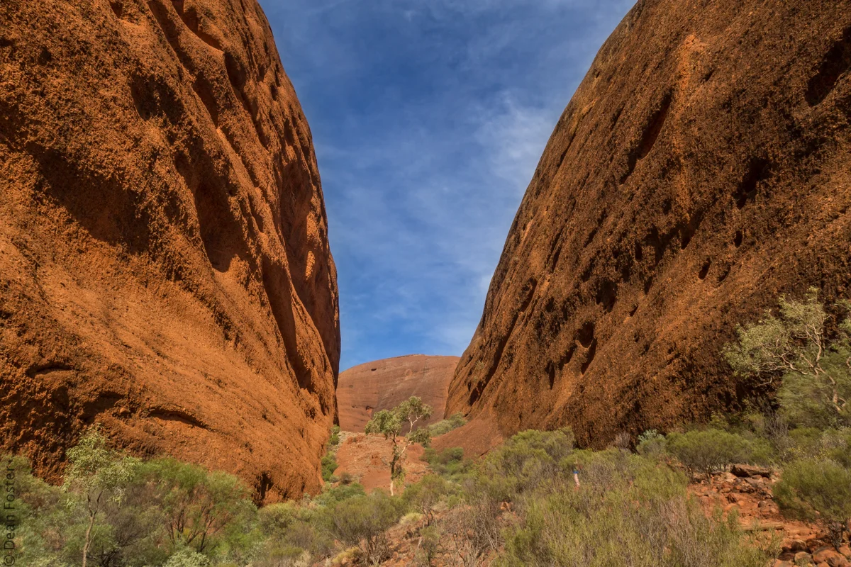 Mainland-Australia-9233.jpg