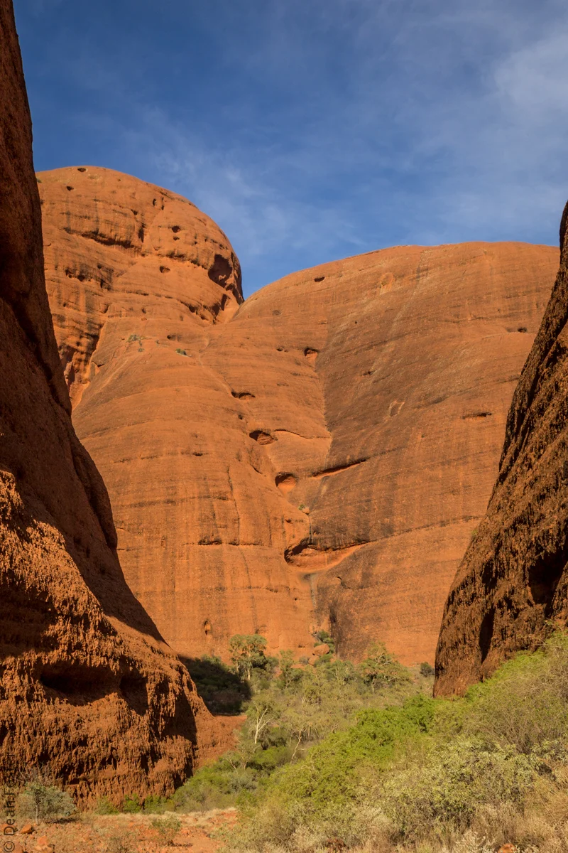 Mainland-Australia-9235.jpg