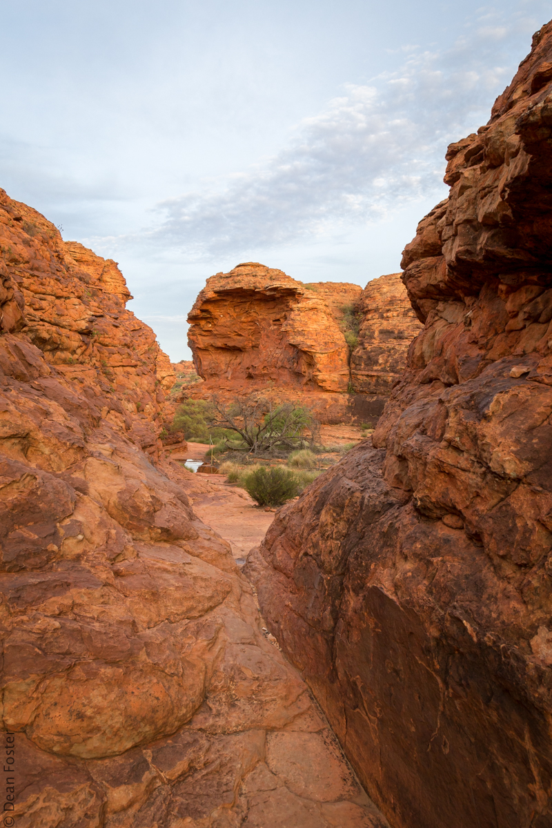 Mainland-Australia-9254.jpg