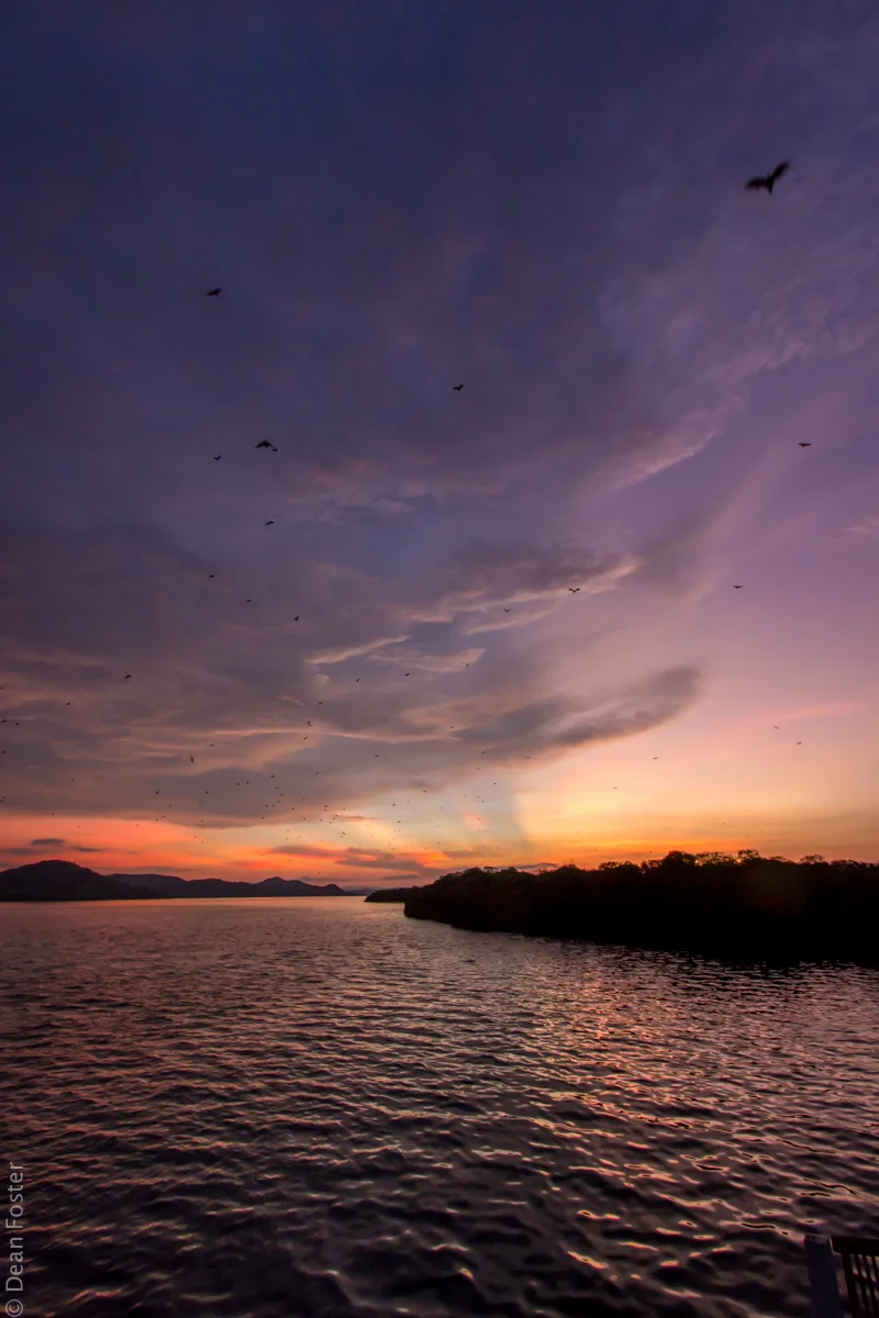 KomodoNationalPark-6561.jpg