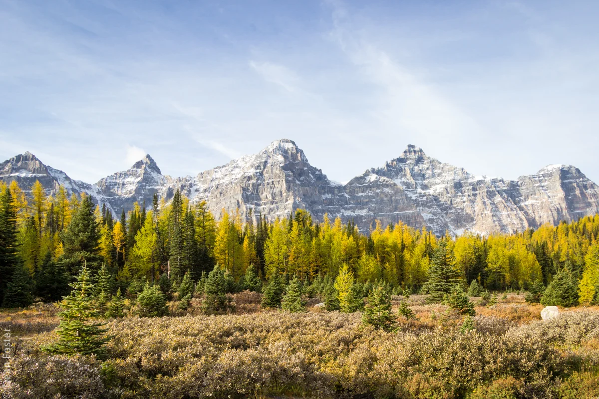 Fall in Sentinel Pass