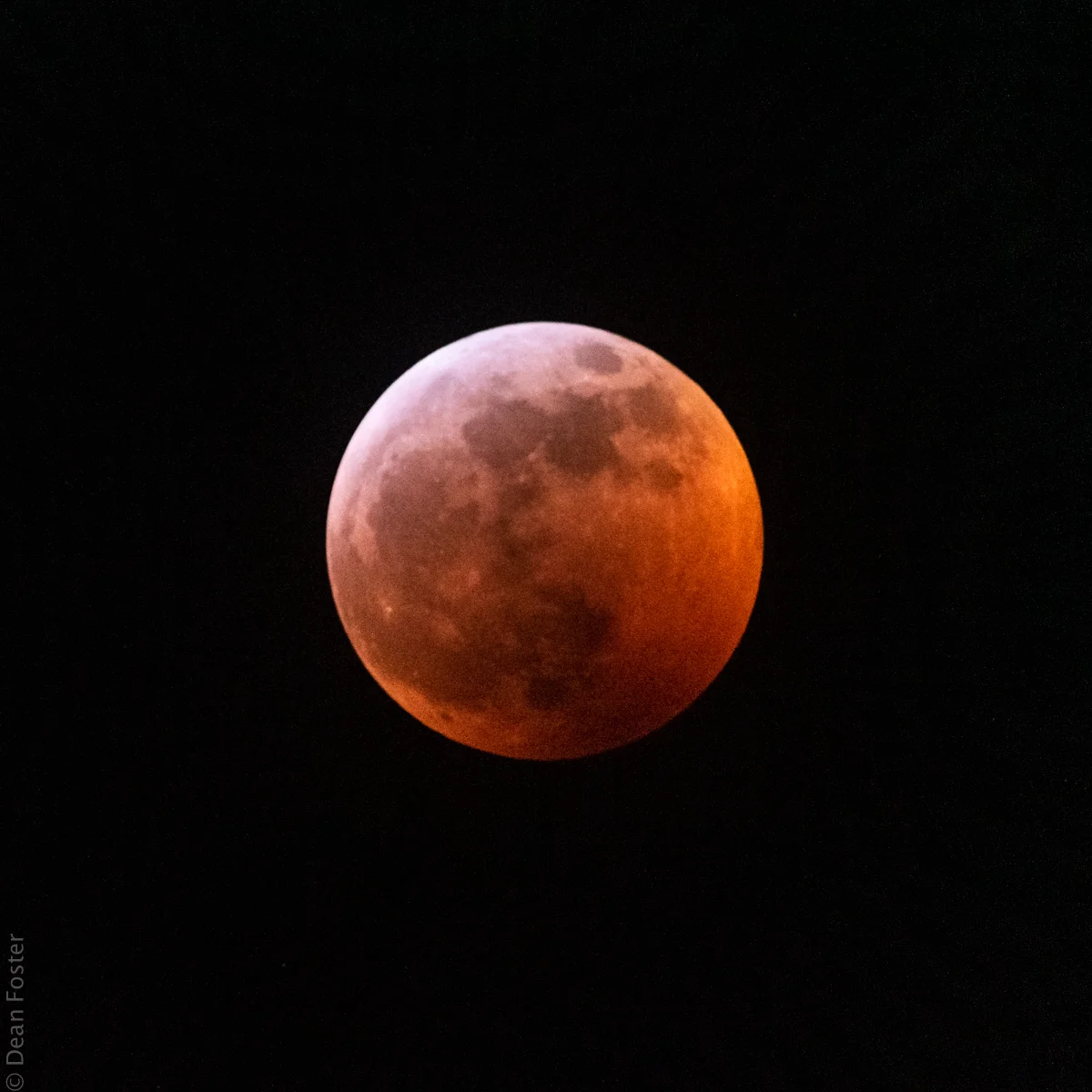 Lunar-Eclipse-2908.jpg