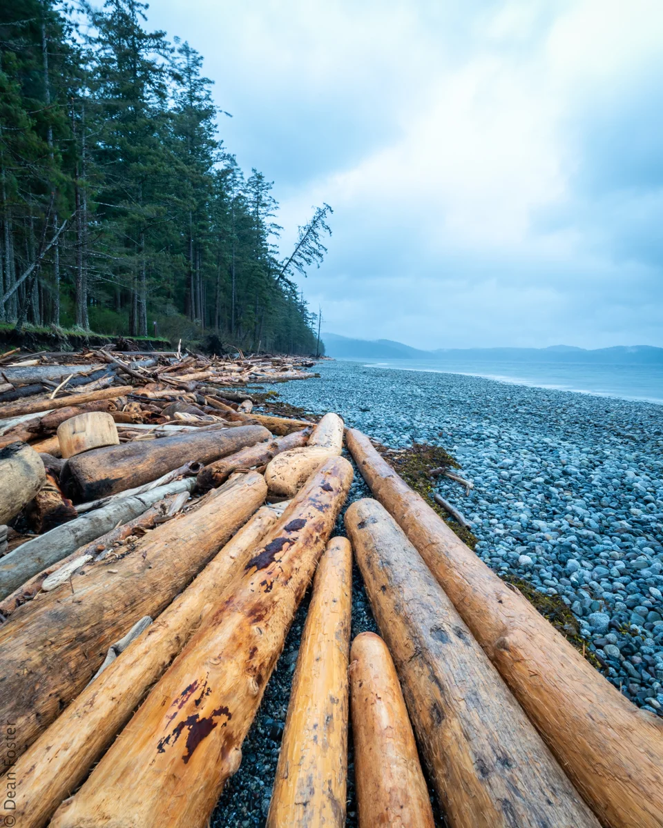 Quadra-Island.jpg