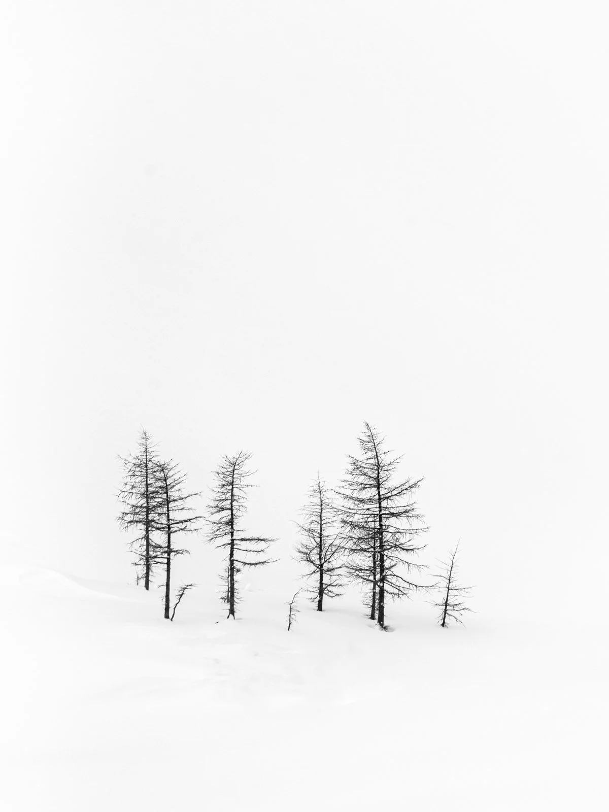 1223-AgnesLake-8987-Edit.jpg