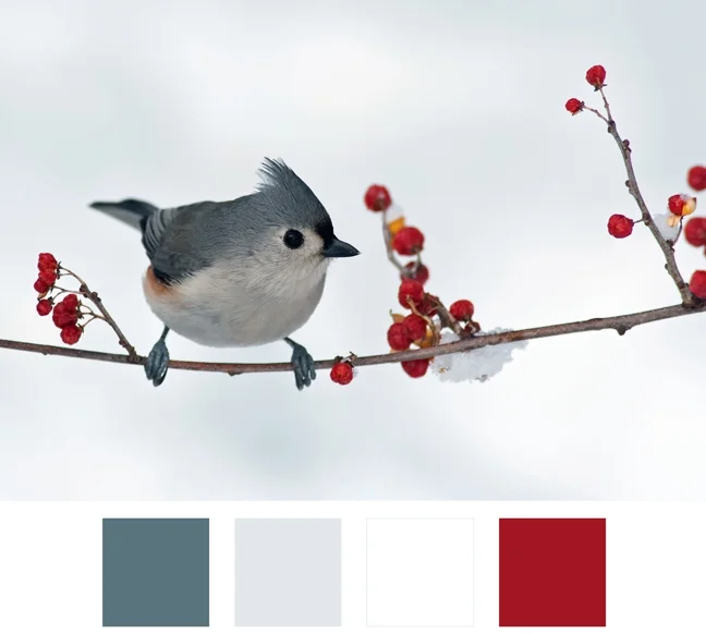 pallette-inverno-magò.jpg