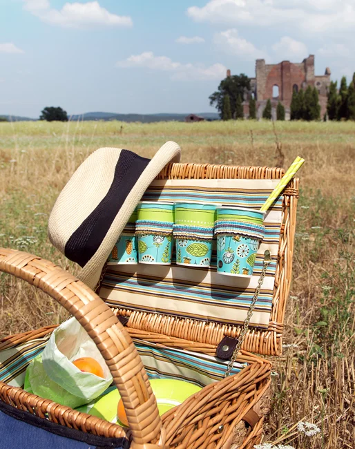 picnic-mago-party.jpg