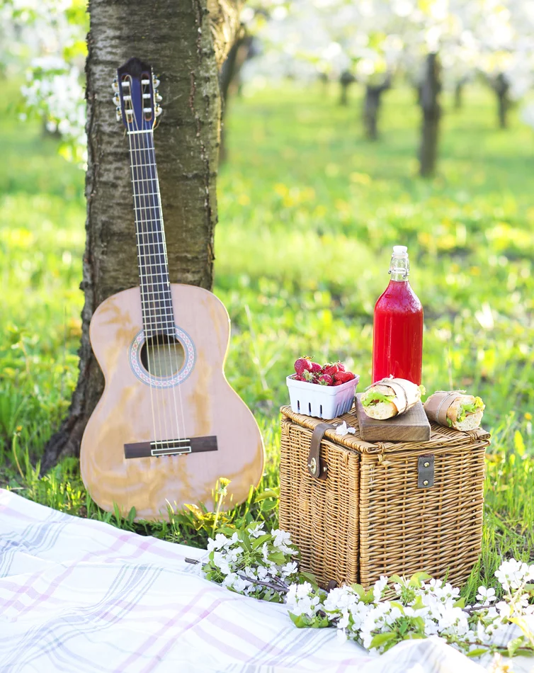picnic-mago-party.jpg