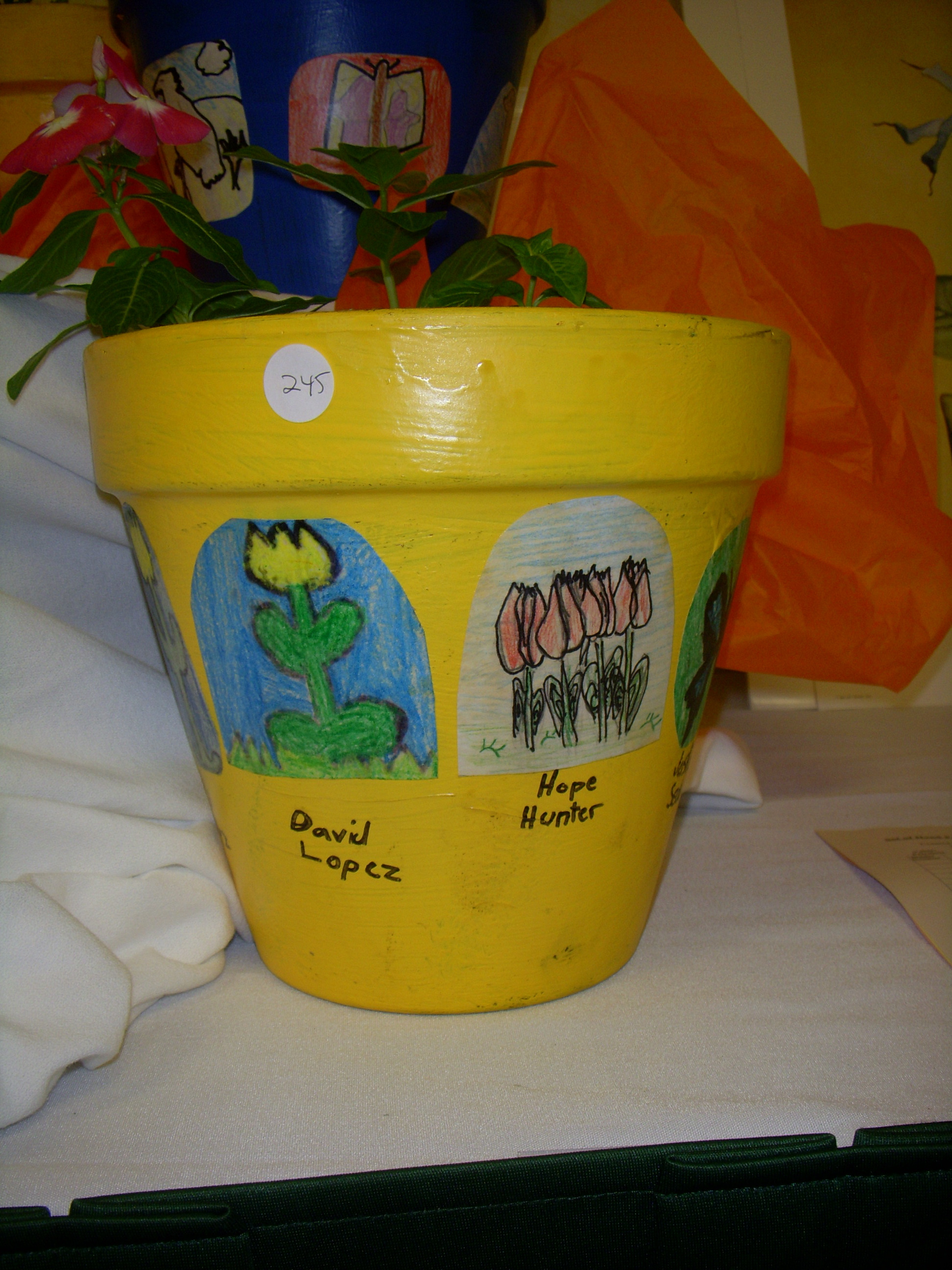 Planters #2