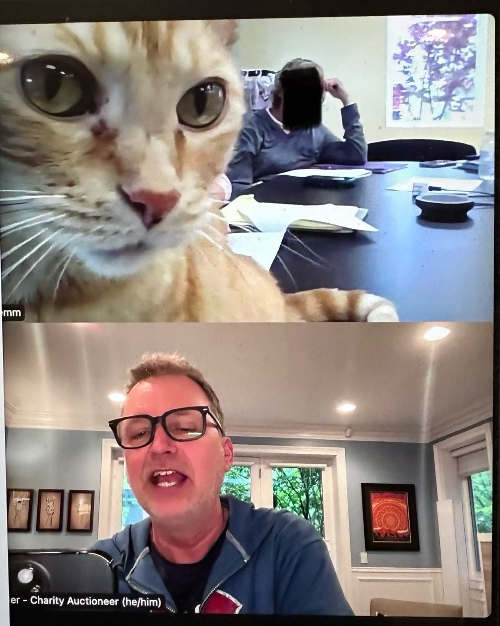 Best Zoom Mtg of the week. 🐱#CharityAuctions #HumaneSociety #CuriousCat