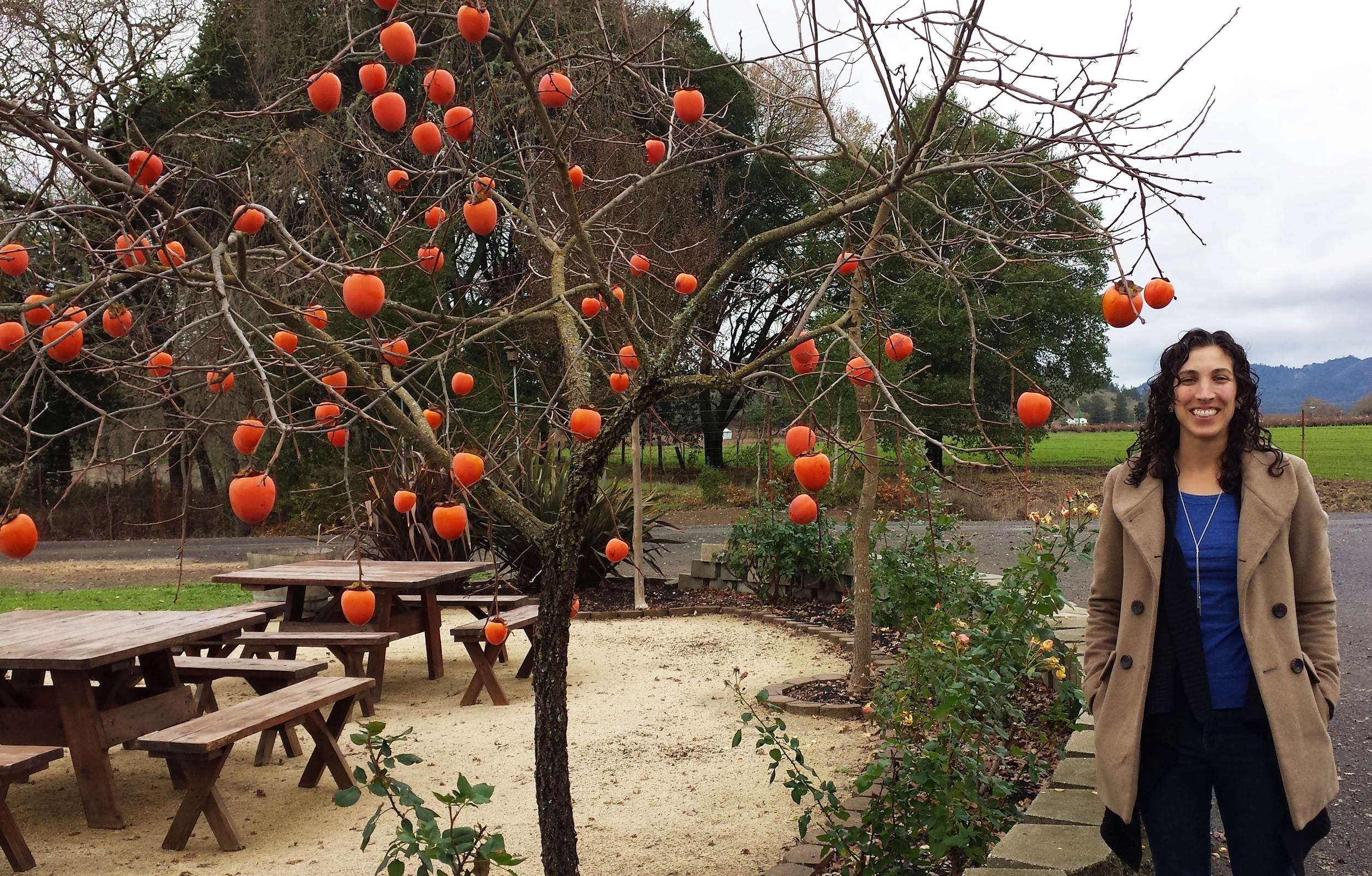 Orange ornament tree