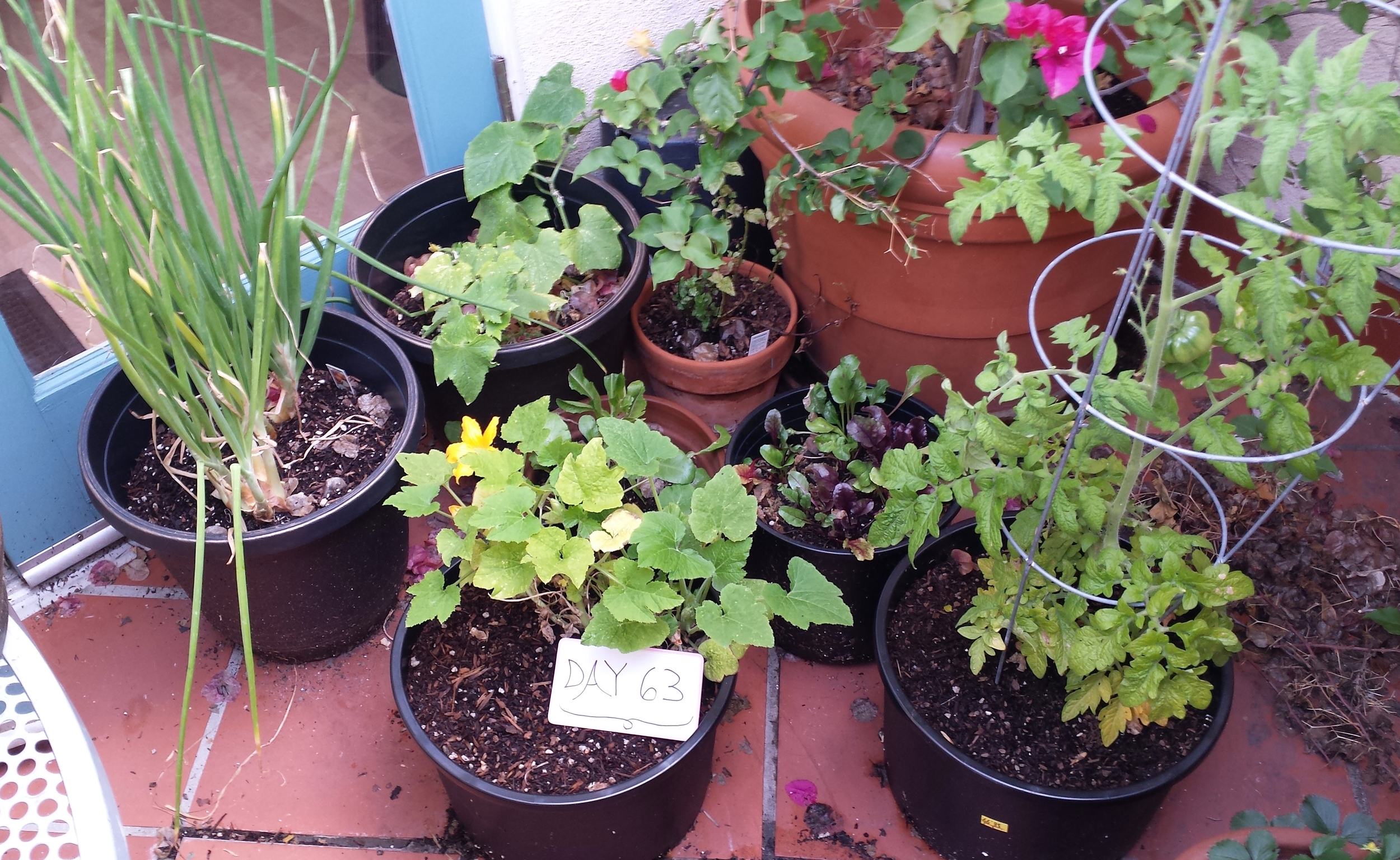 20160508_080849.jpg