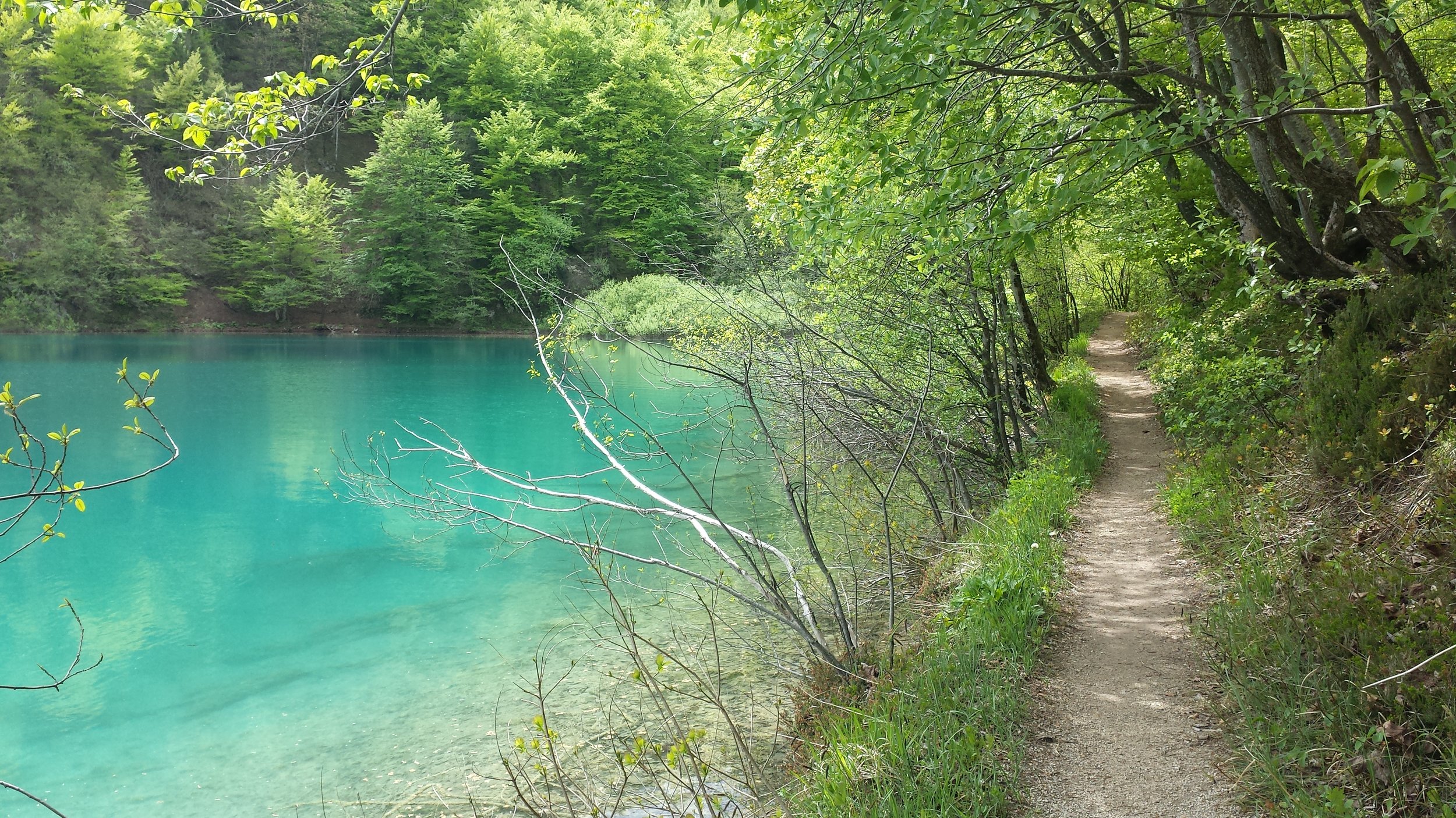20170504_131745.jpg