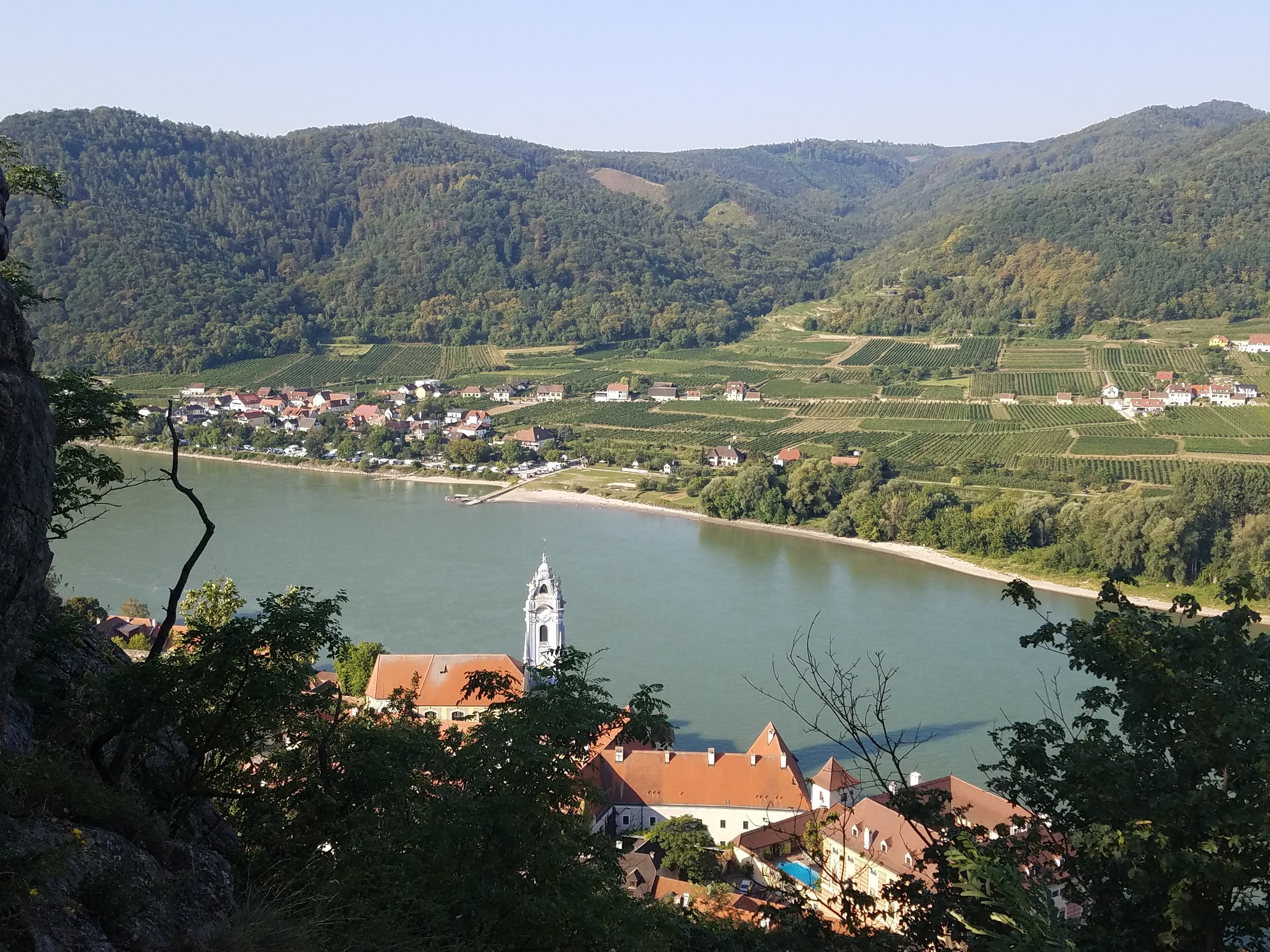20180817_082410.jpg