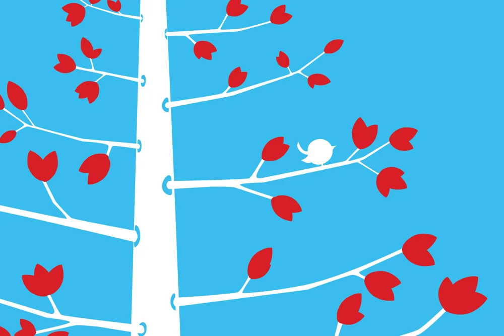 tree-zoom-blue.jpg