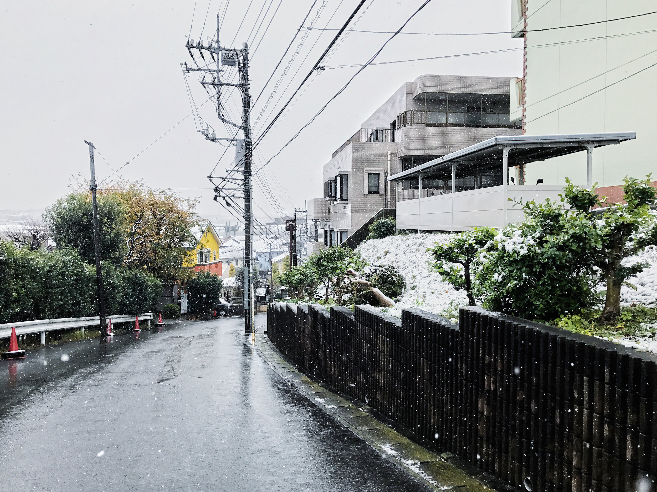 yokohama-snow-3.jpg