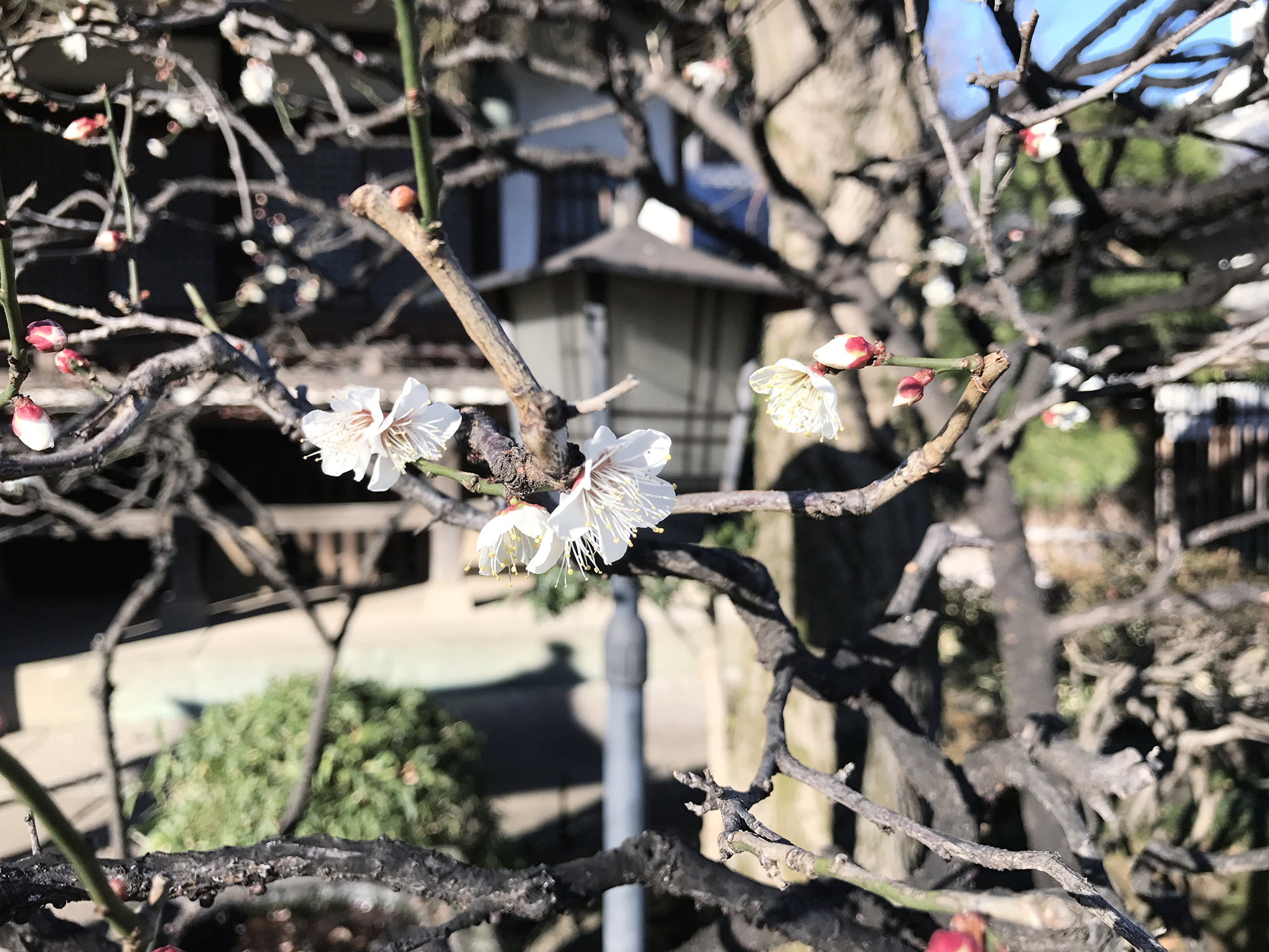 Spring is in the air!