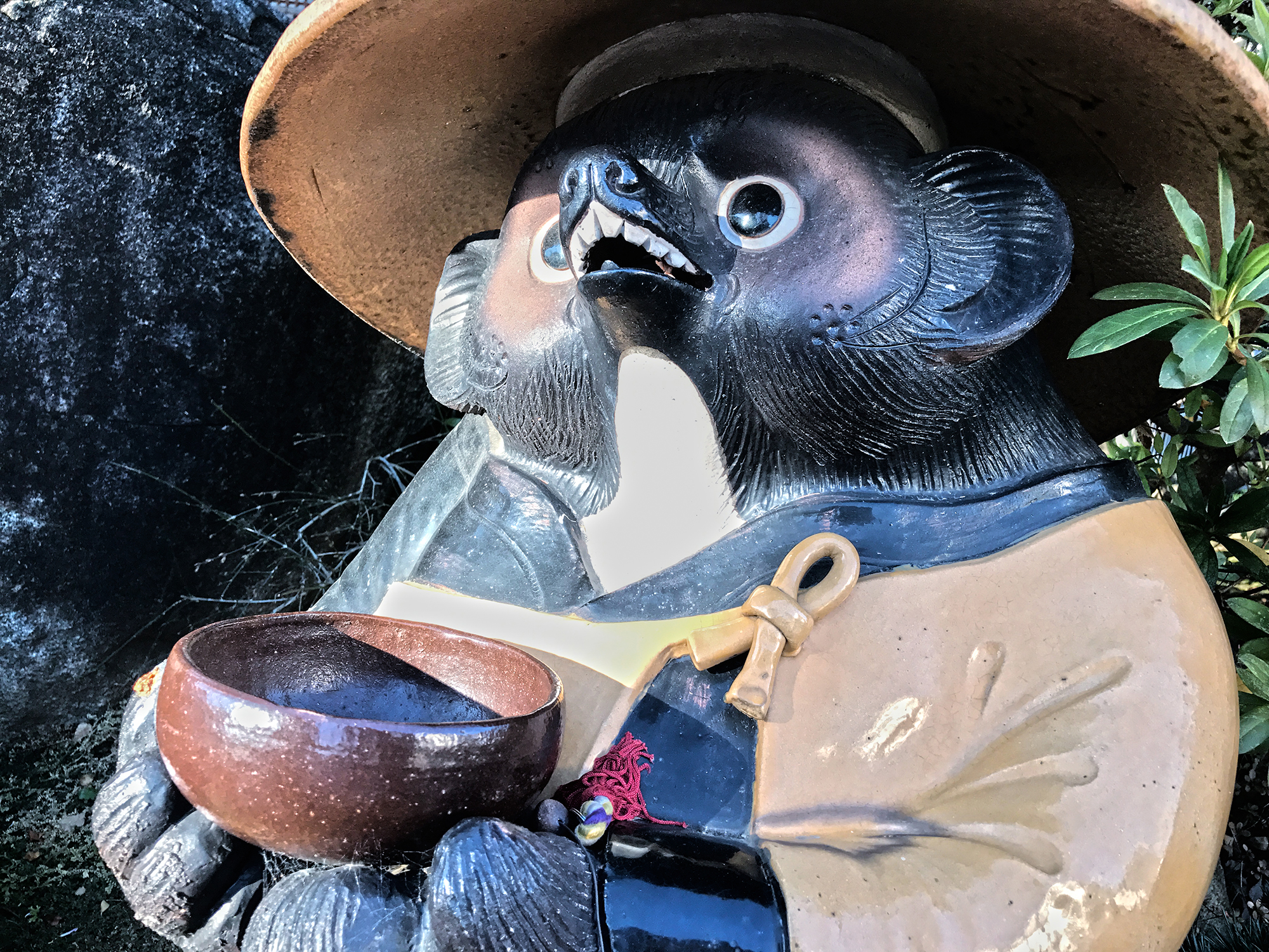 Tanuki, a Japanese raccoon dog, a popular icon in Japanese folklore and proverbs.
