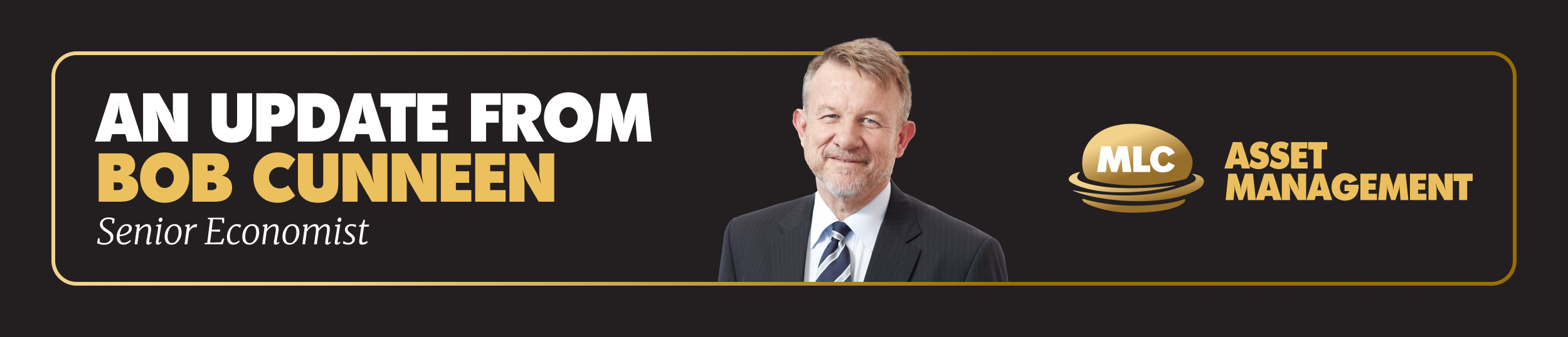 BCE-984 (BCE-1617) edm banner_2.png