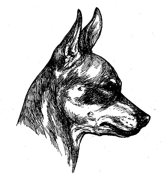 image13.jpg