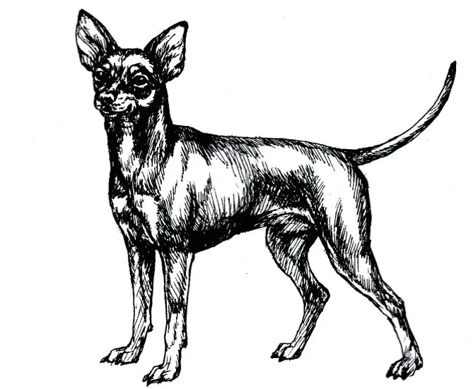 image14.jpg