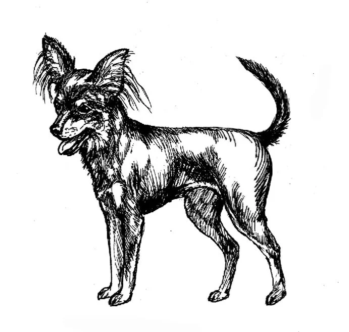 image15.jpg