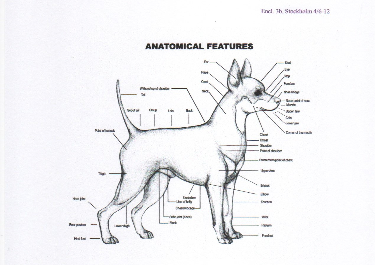 image34.jpg