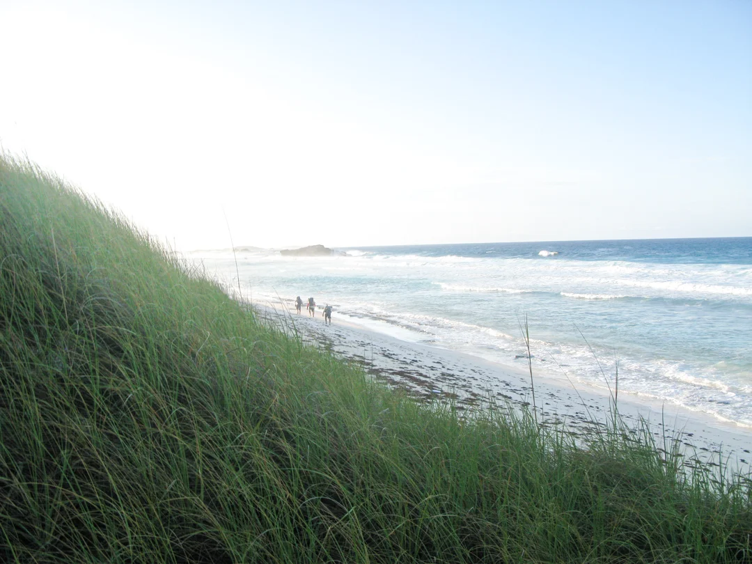 TCI3281.jpg