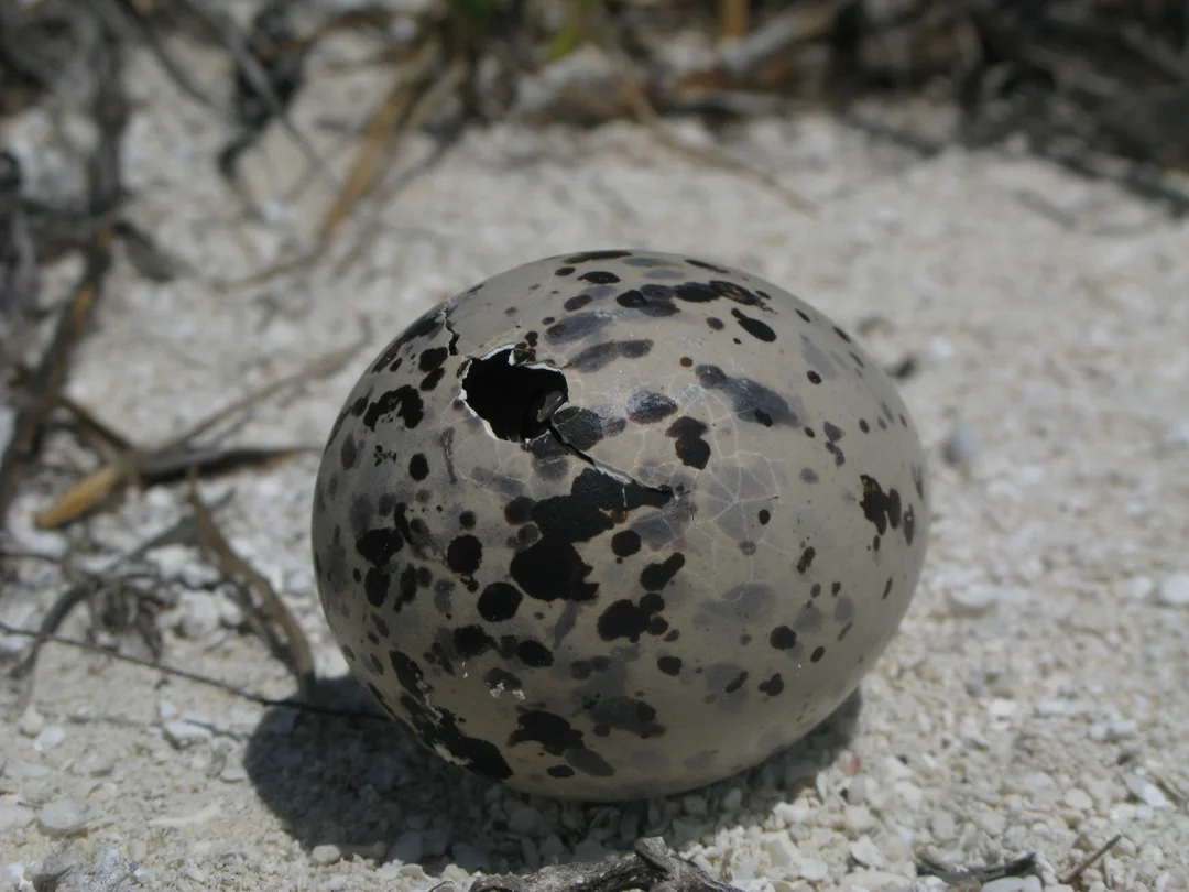 TCI3773.jpg