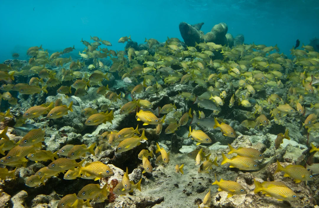 TCI3898.jpg