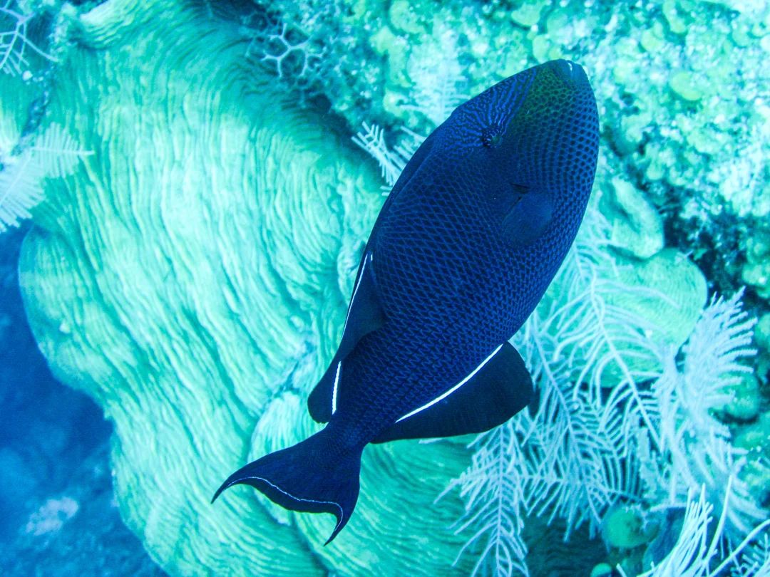 TCI3774.jpg