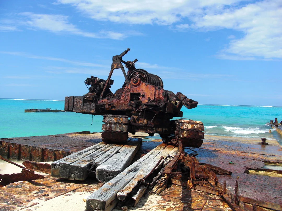 TCI4131.jpg