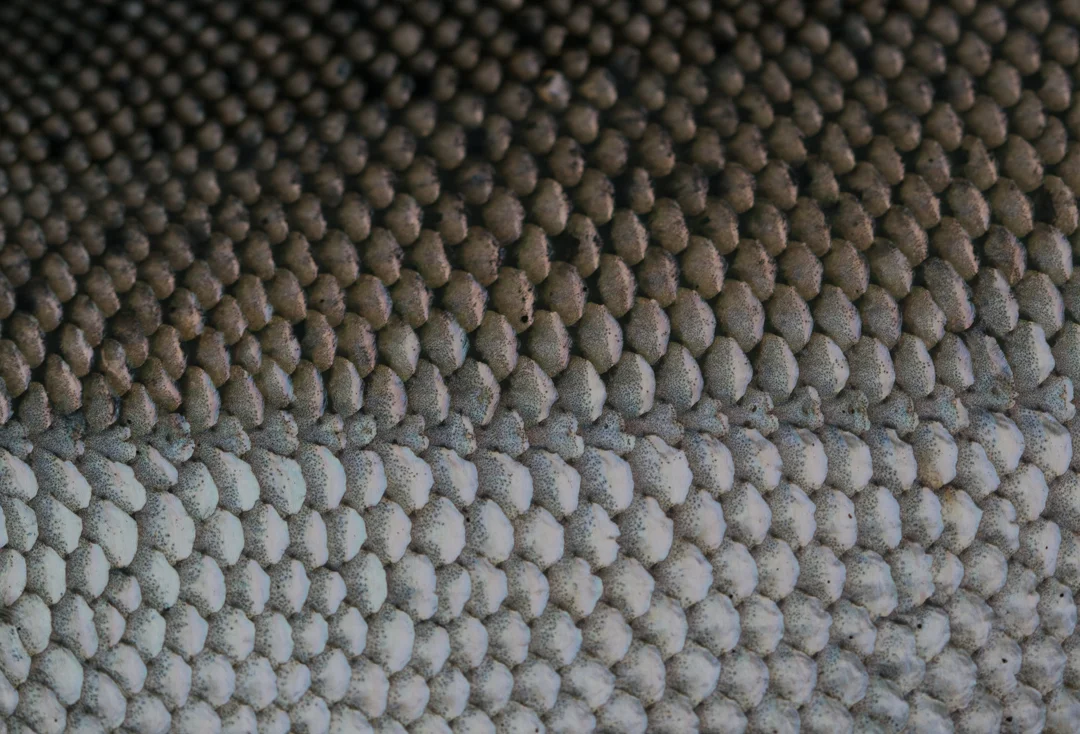 Chignik12-3183.jpg