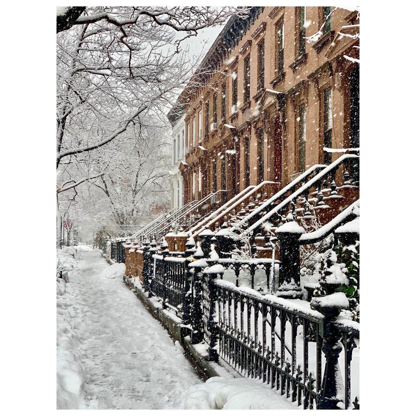 ❄️ snow in the ny ❄️ // 📸 by @alireevedesign