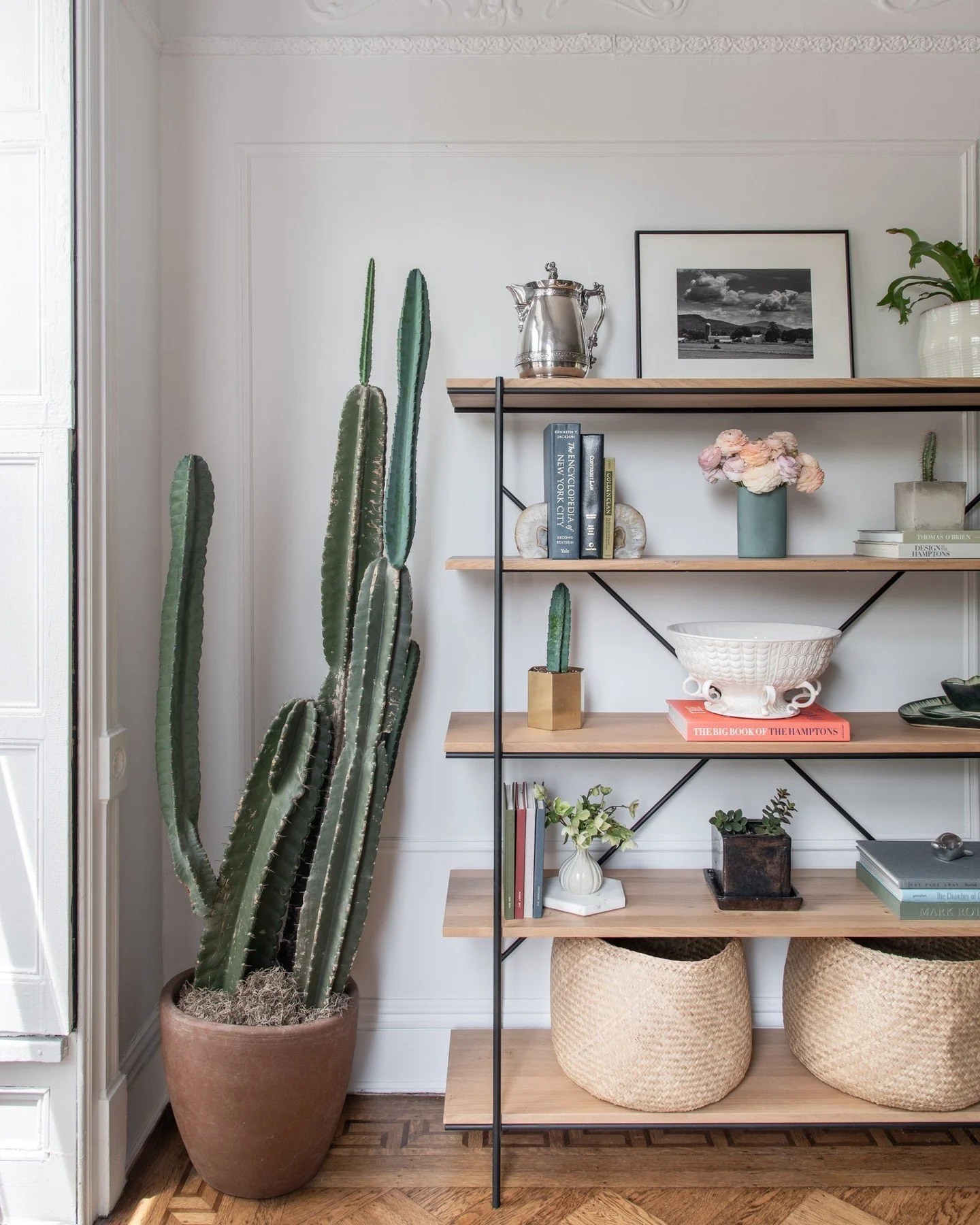 🌵 corner moment 🌵 | design by @alireevedesign | 📸 by @angelasunphoto⁠
⁠
⁠
⁠
⁠
⁠#alireevedesign⁠
