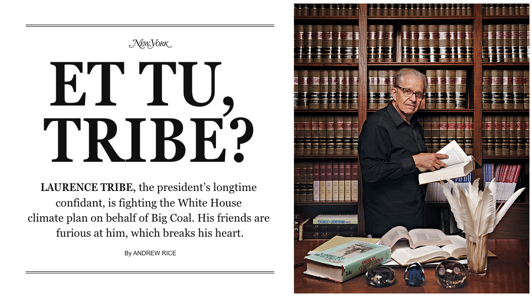 ny mag's layout 