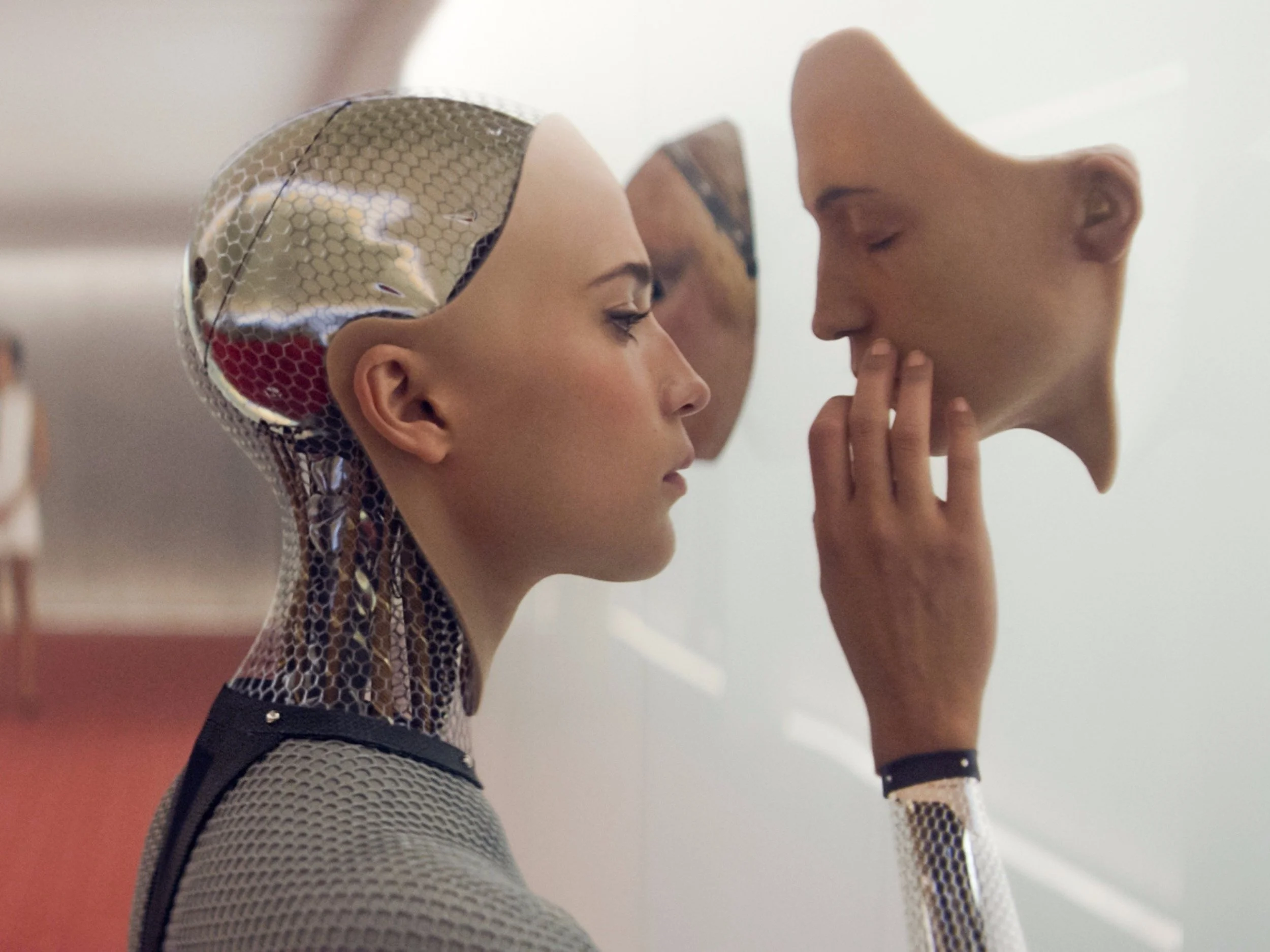 ex machina reddit wormhole all day