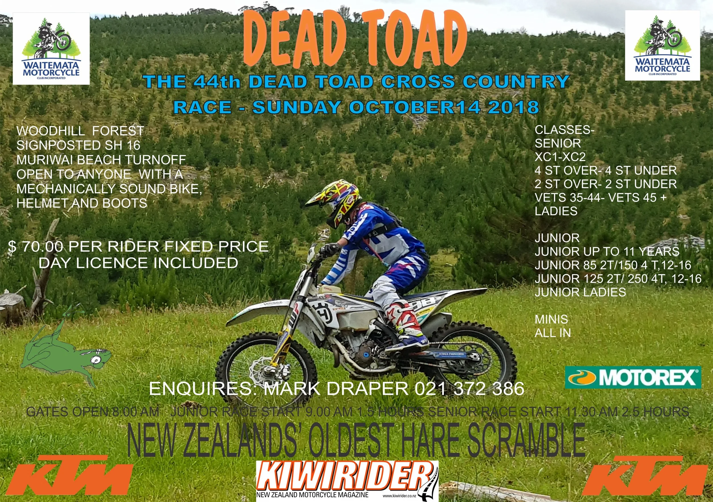 20181014_toad18.jpg