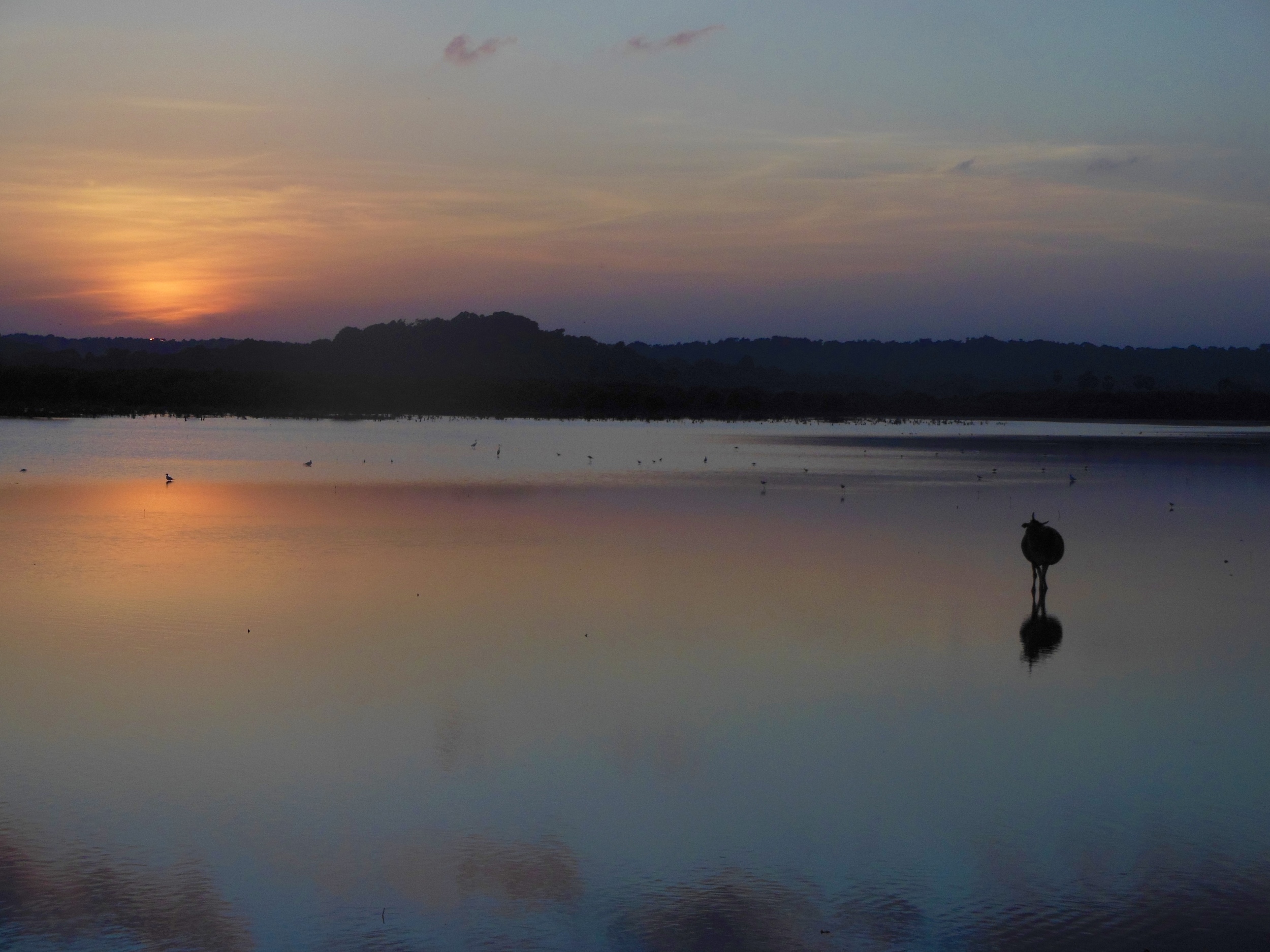 DSCN8165.jpg