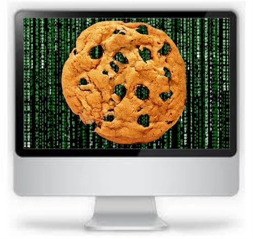 I have it on good authority that this is what a computer cookie looks like. Image Source - tes.com