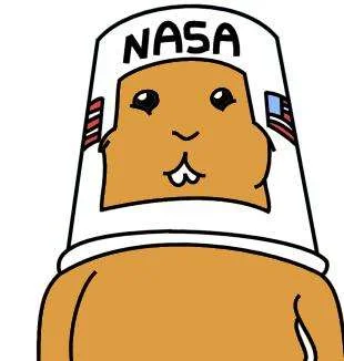 A hamster prepared to enter the Space Hamster Wheel. Image Source Thehamstercollective.com