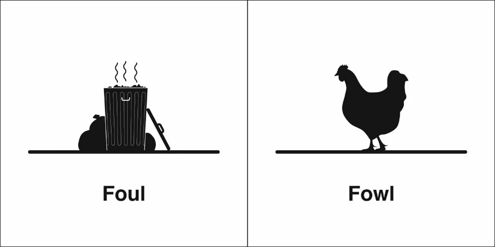 Just to be clear. Image Source - Homophoneweekly.com